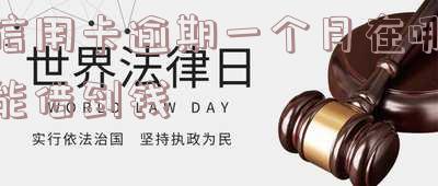 信用卡逾期一个月的后果及是否会上征信