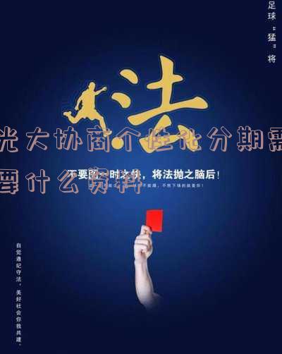光大申请个性化分期案例及相关要点