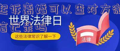 起诉离婚可以查对方微信记录吗
