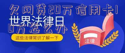 欠信用卡网贷20多万如何自首并应对法律判决?