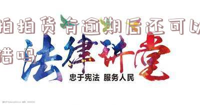拍拍货有逾期后还可以借吗