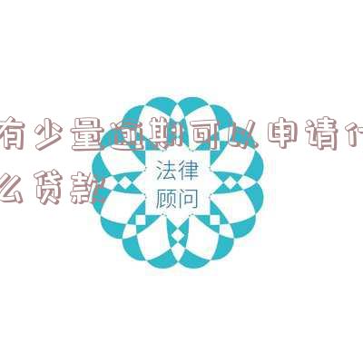 贷款当前有逾期,还可以申请小额度贷款吗?