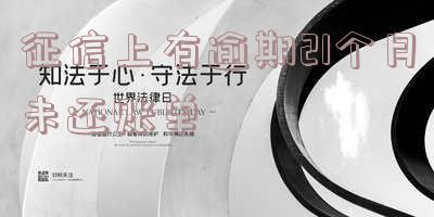 征信上有逾期21个月未还账单