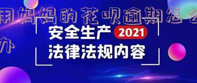 本人用父母花呗暂时无力偿还的处理及对后代的影响