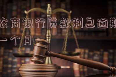 农商贷款逾期一天的影响及应对措施