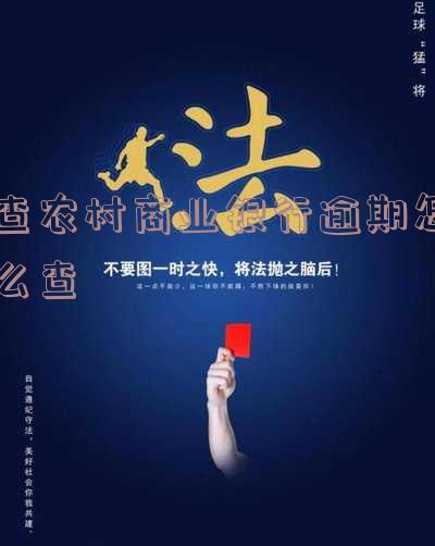 农村商业银行怎么查征信报告及记录,查出什么?