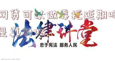 网贷可以做委托延期吗是真的吗