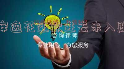 安逸花还款成功但显示未入账的原因及解决方法