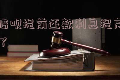 借呗提前还款利息提高了怎么办