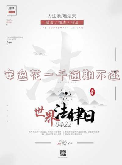安逸花欠款1325.17元逾期115天会被起诉吗