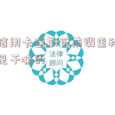 贷款逾期诉前调查取证