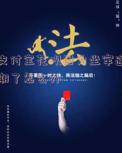 支付宝花呗因为坐牢逾期了怎么办