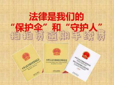 拍拍贷的逾期利息和催收费用法律支持吗,安全可靠吗?