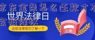 京东金条怎么还款方式选择最划算?