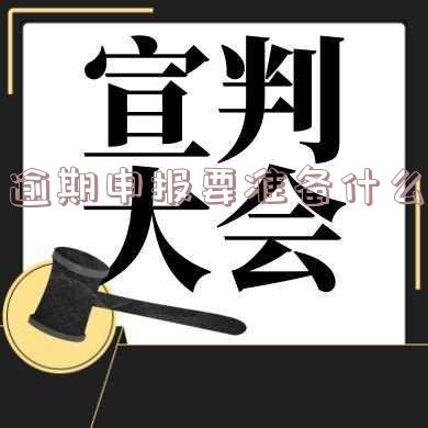 逾期申报要准备什么申报表才能通过审核