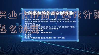 兴业卡协商个性化分期的全流程及后续处理
