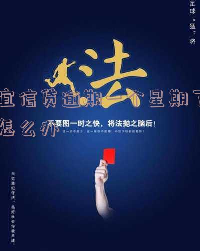 宜信贷款逾期还款后果及解决办法