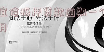 宜信抵押贷款逾期一个月的影响