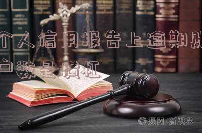 个人信用报告中发生过逾期的账户数有一个其他怎么办?