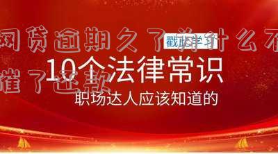 网贷逾期久了为什么不催了还款