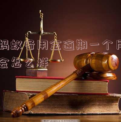 蚂蚁备用金逾期1天怎么办