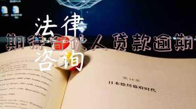 期待合伙人逾期还不了款的处理方式及影响