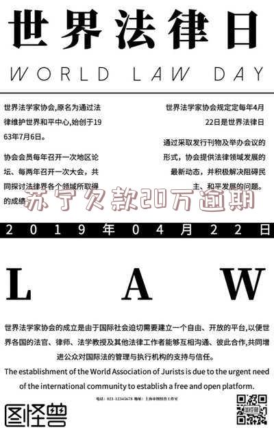 苏宁欠款20万逾期