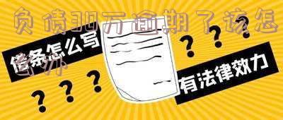 负债30万我该怎么办?