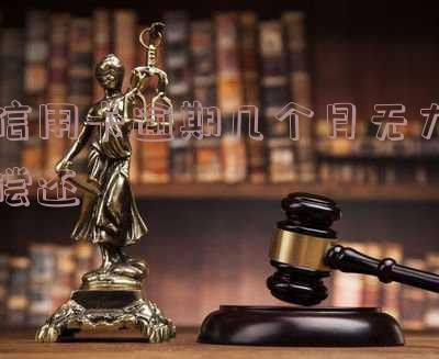 信用卡逾期几个月无力偿还怎么办,欠信用卡逾期几个月会立案