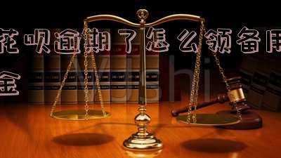 花呗逾期了怎么领备用金