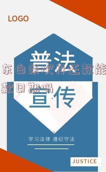 京东白条次月还款能改还款日期吗