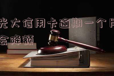 光大银行逾期一个月第二月账单粗来以后让还2个月
