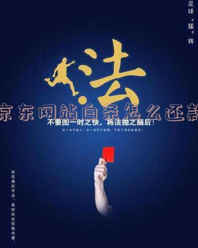 京东网站白条怎么还款的时候显示金额限额