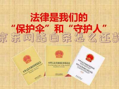 京东白条怎么还款微信支付