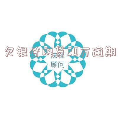 欠银谷网贷20万逾期
