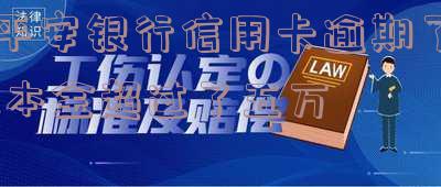 平安银行信用卡逾期，本金超过五万，如何处理？