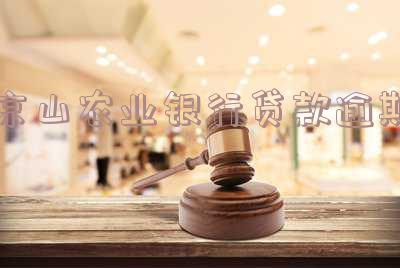 中国农业银行贷款逾期多久会被起诉及征信影响,逾期贷款如何应对?