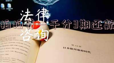 拍拍贷借1000利息、拍拍贷借10000分12期还款、拍拍贷借10000利息