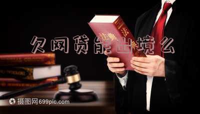 网贷欠款可以出国吗