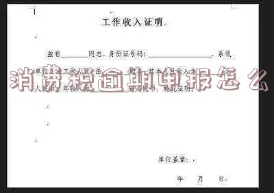 消费税逾期申报怎么处理及罚款说明