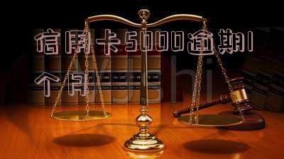 信用卡5000逾期1个月