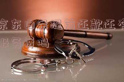 京东白条提前还钱也要付利息吗,安全且无服务费?