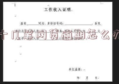 十几笔网贷逾期怎么办理延期还款