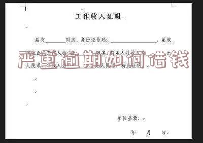 严重逾期如何借钱