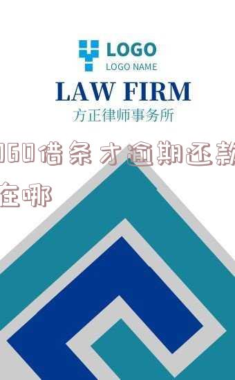 360借条才逾期还款在哪