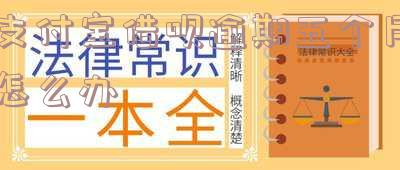 支付宝借呗逾期五千半个月的利息和应对方法