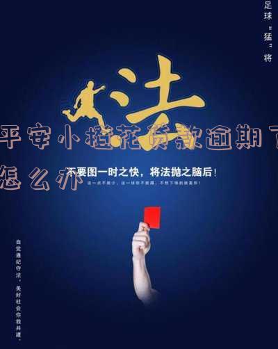平安小橙花贷款逾期了怎么办