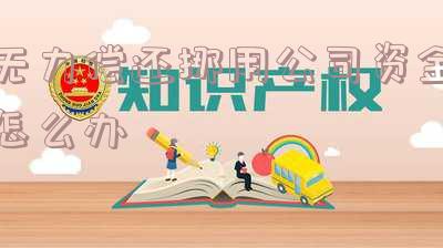 挪用公司资金无力偿还该怎么办