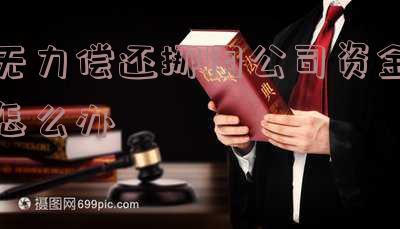 挪用资金无力偿还的案件处理方法