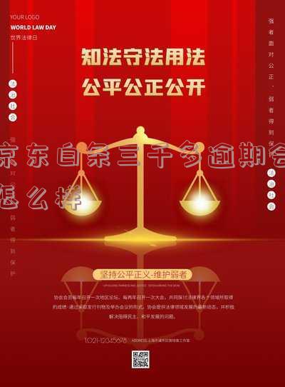 京东白条逾期3000多会上法院吗
